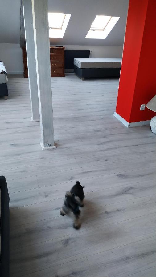 Apartament Witkacego Czerwony Słupsk Zewnętrze zdjęcie