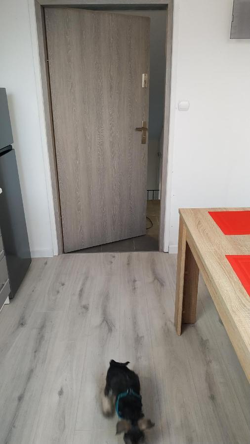 Apartament Witkacego Czerwony Słupsk Zewnętrze zdjęcie