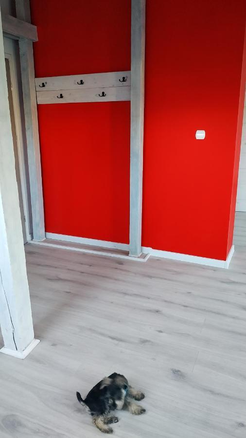Apartament Witkacego Czerwony Słupsk Zewnętrze zdjęcie